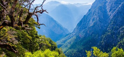 Excursiones en jeep por Creta